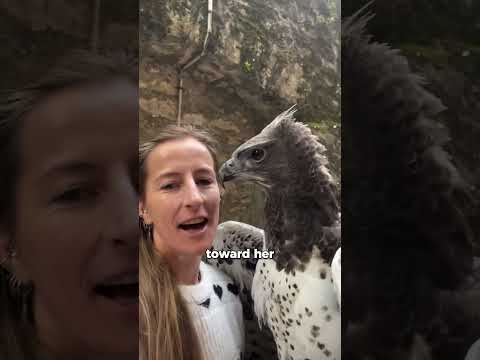 Shocking Animal Encounters Nobody Saw Coming