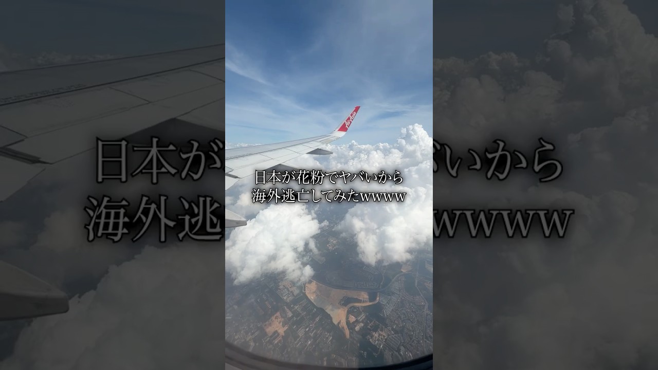 日本の花粉が酷いので海外に逃亡する20歳WWWWWW #神崎みら