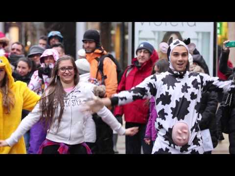 Promo - Flashmob a Vivand