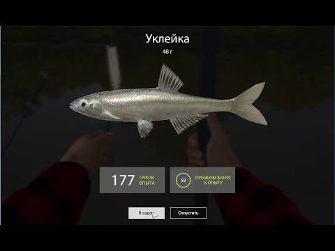 Русская Рыбалка 4 (Russian Fishing) Уклейка на Вьюнке