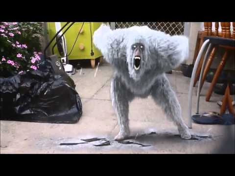 Aliens raid my house! REMIX!