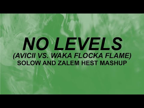 Avicii, Waka Flocka Flame - "No Levels" (lyrics) | girl, drop it to the floor | tiktok