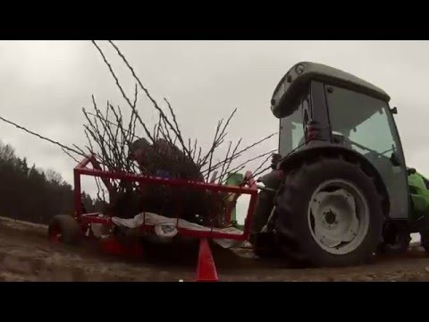 Sezon 2015 w sadzie (i nie tylko) VITOMA