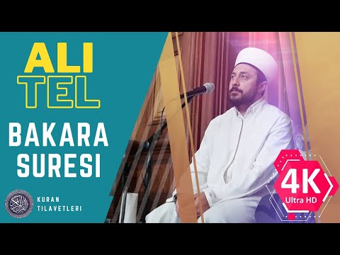 ALI TEL | BAKARA SURESI