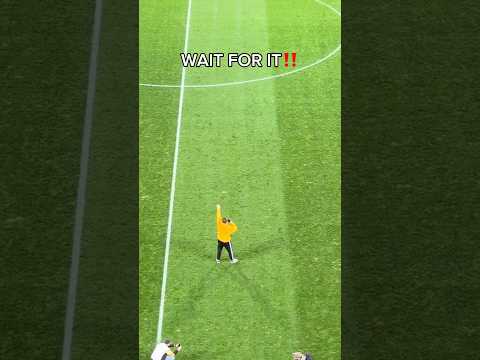 Dynamo Dresdens Stadium is SHAKING!! UNREAL Atmosphere! #dynamodresden #ultras #supporters #kblock