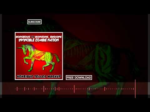 Borgeous vs Borgore vs Sikdope - Invincible Zombie Nation (Henrique Telles Mashup)