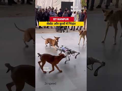 🤖🔥 Robot vs Dogs – A Battle at IIT Kanpur!