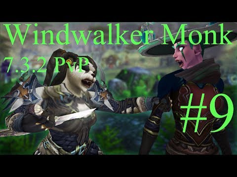 Windwalker Monk 7.3.2 PvP | WoW Battlegrounds #9