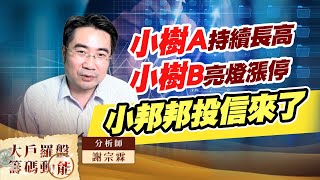 小樹A持續長高小樹B亮燈漲停小邦邦投信來了 (圖)