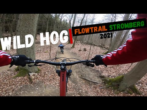 MTB | Flowtrail Stromberg 2021👌 | WILD HOG 🐗 | Raw Run | Propain Tyee AL 🔴| VLOG #29