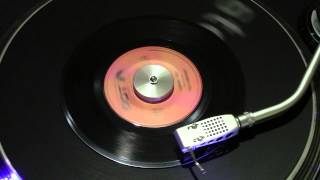 Surfer Joe - The Surfaris