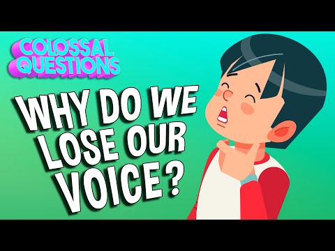 Why Do We Lose Our Voice? | COLOSSAL QUESTIONS