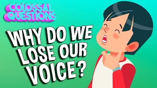 Why Do We Lose Our Voice? | COLOSSAL QUESTIONS