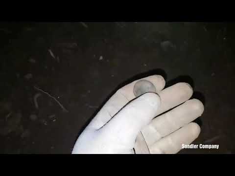 Sondeln auf'm Kartoffel Acker