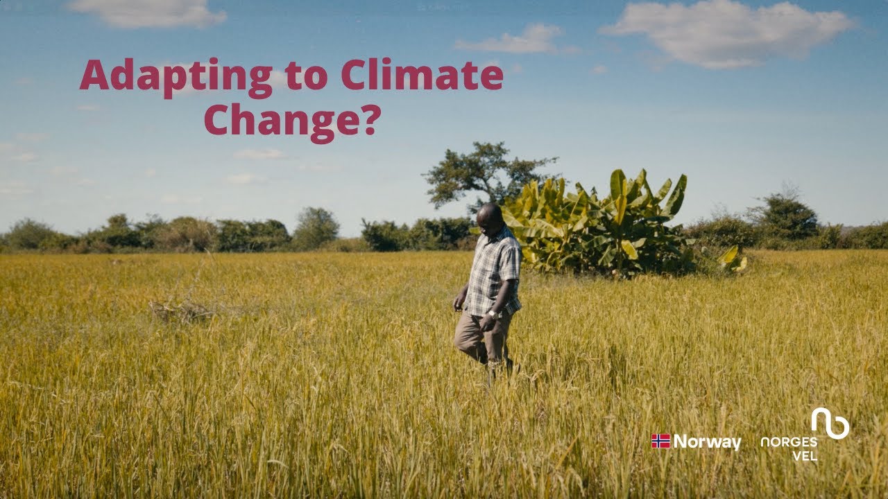 Building Climate Resilience: How Small-Scale Farmers Adapt to Change