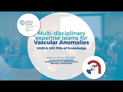 Multi-disciplinary Expertise Teams for Vascular Anomalies