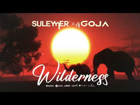 Suleymer x Dj Goja - Wilderness (Official Single)