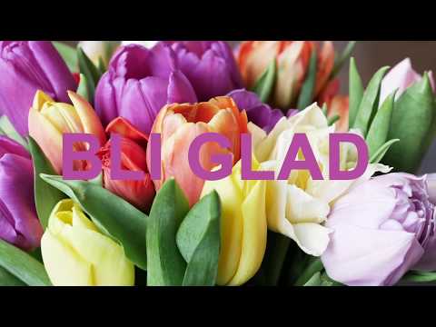 Bli glad av svenska tulpaner!