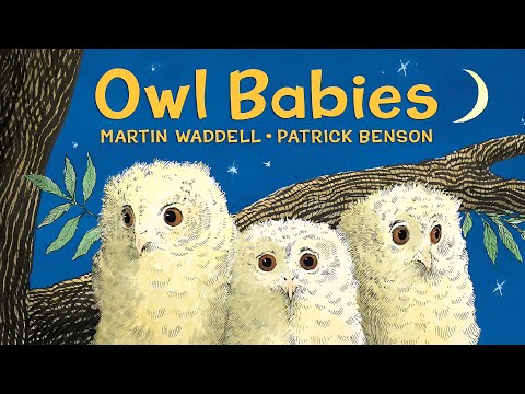 Owl Babies 🌙🦉 | Family & Feelings | Read Aloud for Kids | Hoots & Tales