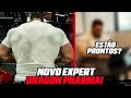 NOVO EXPERT DRAGON | MEDICINA ESPORTIVA & ALTA PERFORMANCE