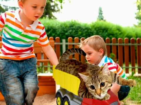 Маленький сборник стихотворений Агнии  Барто