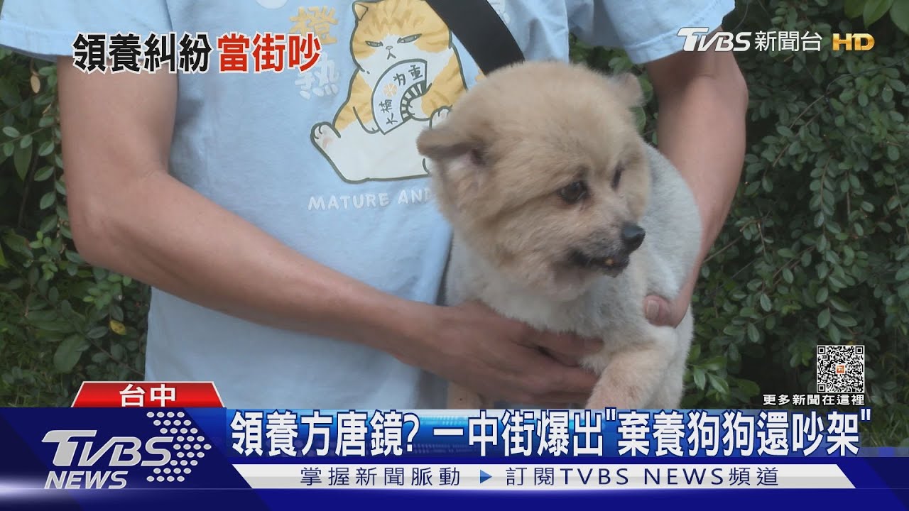 領養方唐鏡? 一中街爆出「棄養狗狗還吵架」