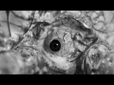 The Crawling Eye (1958) ORIGINAL TRAILER [HD]