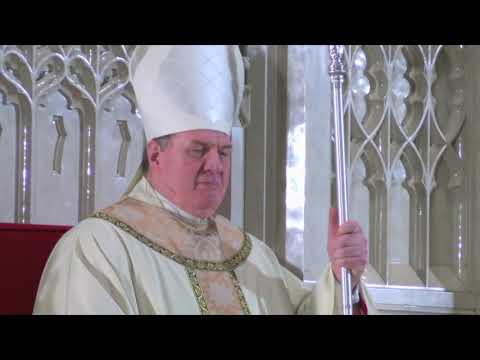 Cardinal Dolan Catholic Schools