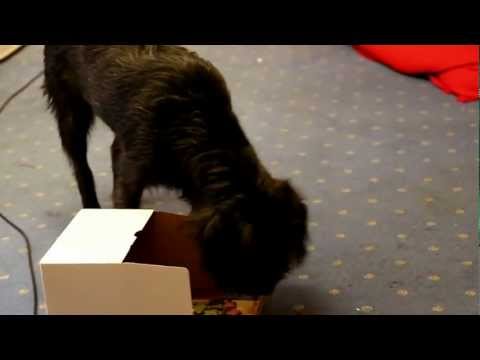 Eventplanung Mannheim Eventagentur Germans-Live-Events präsentiert heute: