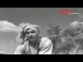 Aaduthu Paaduthu Pani Chesthunte