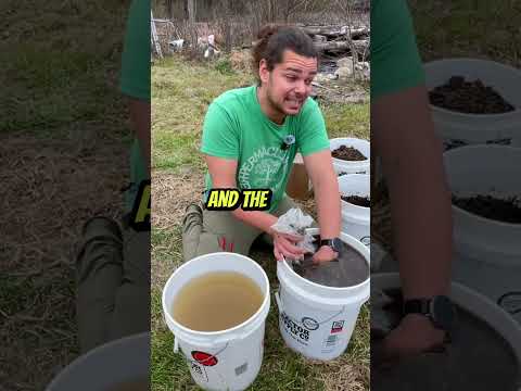 Small Compost, Big Garden: Permaculture Tips