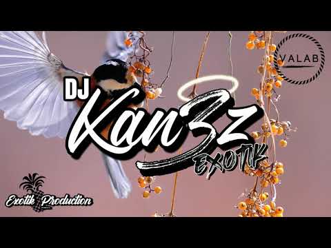 Tate McRae X DJ KAN3Z - you broke me first [ROOTS 2021]