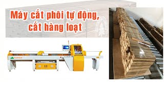 Máy cắt phôi gỗ, cắt đoạn hàng loạt Woodmaster WM-260R