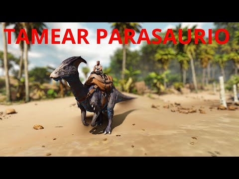 COMO TAMEAR PARASAURIO Y TODAS SUS HABILIDADES ARK ASCENDED