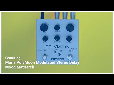 Meris PolyMoon delay pedal with Moog Matriarch synth demo