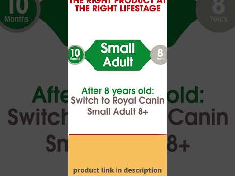 Royal Canin Small Breed Adult Dry Dog Food #shorts #AdultDryDog