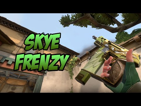 SKYE FRENZY SKIN SHOWCASE (SWOOPING FRENZY) - VALORANT AGENT SKINS