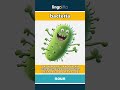 bacteria - tiny living things that are... video thumbnail
