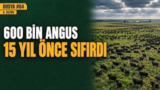 600 Bin Angus, 15 Yılda Sıfırdan: Bir Ülke Et İthalatını Nasıl Bitirdi