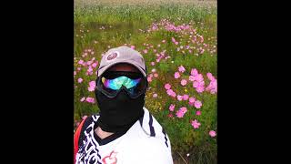 Delante de Mi Regulo Caro