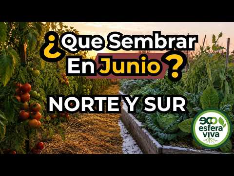 ¿Qué sembrar en Junio? 🌍 Calendario de siembra Norte y Sur + Aromáticas + Semilleros + Flores