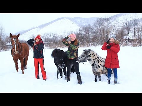 Skibidi - Little big ПАРОДИЯ / КОННАЯ Версия