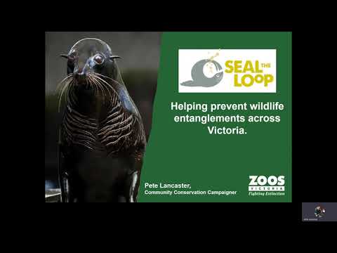 VFA Talk Wild Trout 2020 - Thu 26 Nov - Seal the Loop with Pete Lancaster from Zoos Victoria