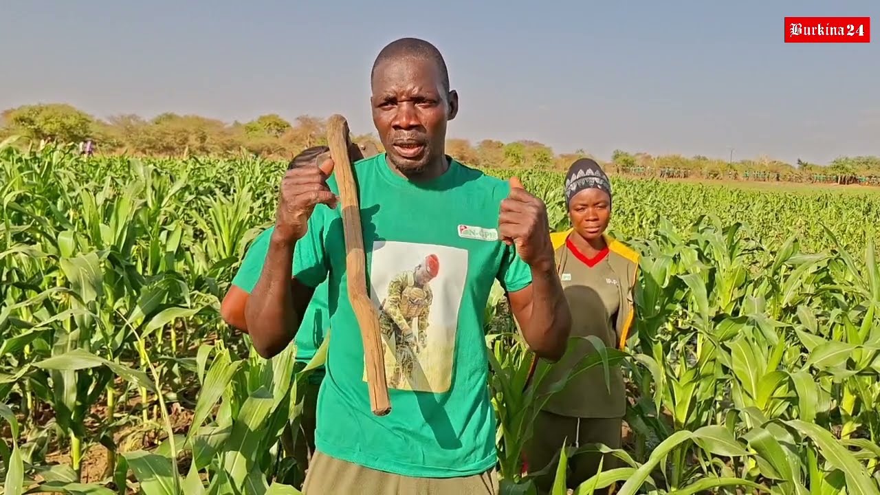 Pourquoi rien n'arrêtera les VDP agricoles après leur formation?