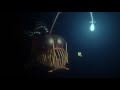 Finding Nemo 2003 VHS Closing