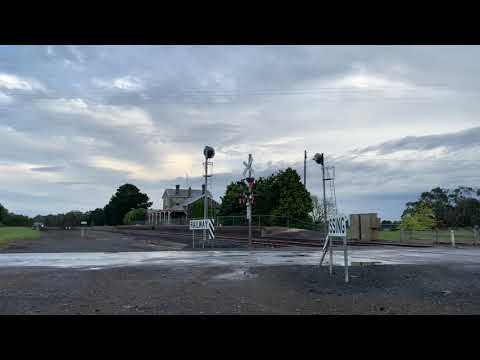 9156 Pacific National Grain train at Meredith (28/10/2021)