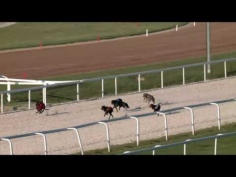 2019.06.28. agár futam