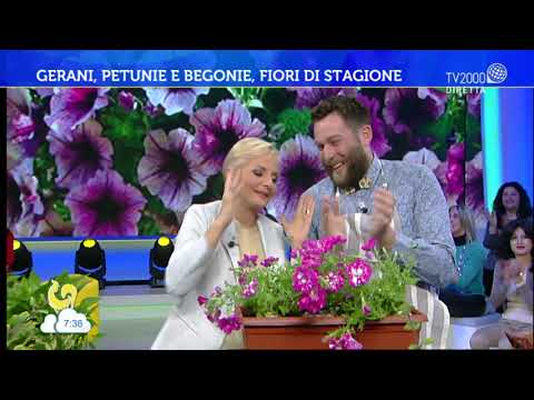 Bel tempo si spera - 23 maggio 2019