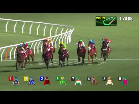 21/9/2022 (30) Telecom Fighters -  Z Purton