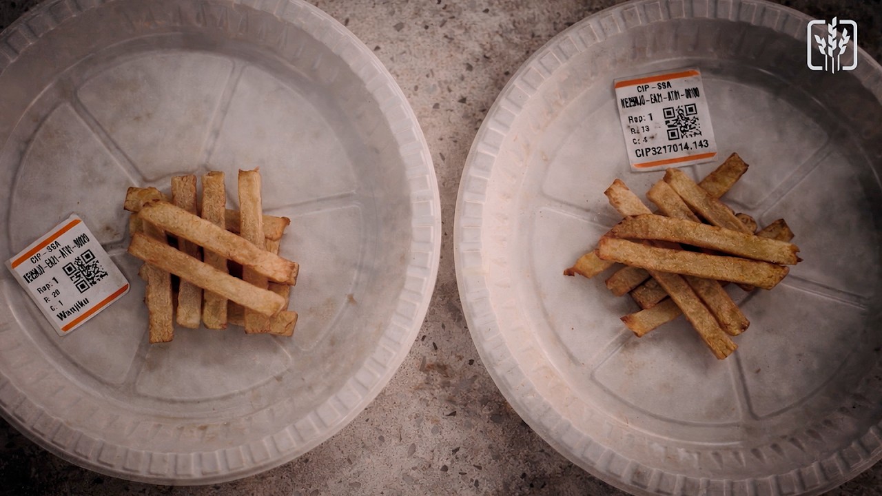 The Perfect Fry: Breeding Potato Varieties to Satisfy the Market